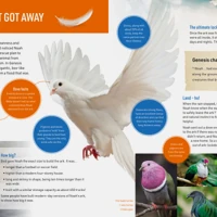 All About Bible Animals