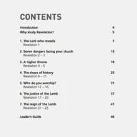 Revelation: Heaven's perspective (ebook)