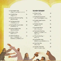 The Kingdom and the King Storybook Bible