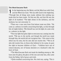 John's Gospel (NIV)