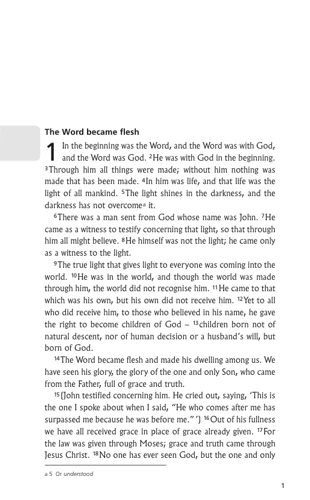 John's Gospel (NIV)