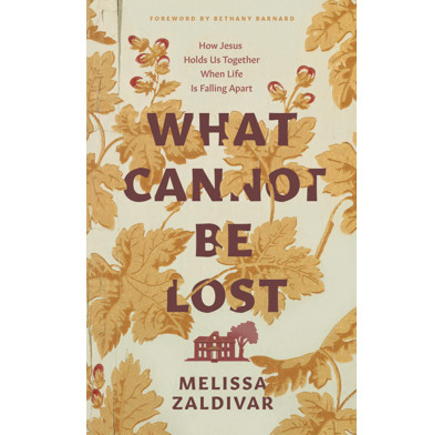 What Cannot Be Lost (ebook)