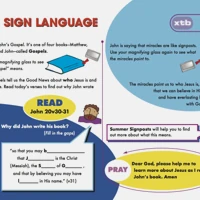 XTB: Summer Signposts