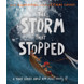 The Storm That Stopped Storybook (ebook)