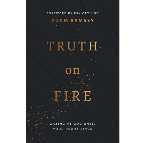 Truth on Fire (ebook)