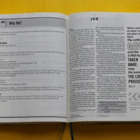 Engage NIV Youth Bible