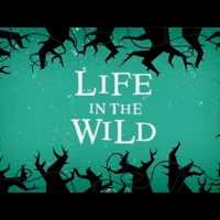 Life in the Wild