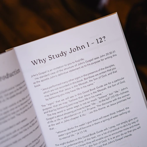 John 1–12: Life to the Full