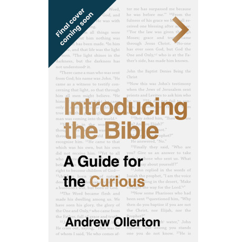 Introducing the Bible (ebook)