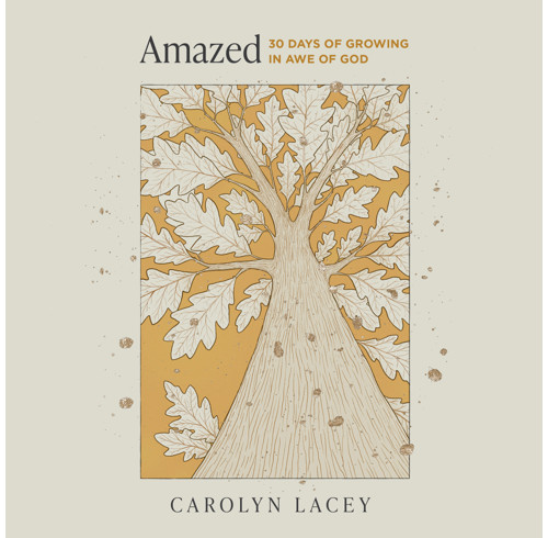 Amazed (Audiobook)