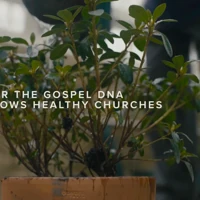 Gospel DNA