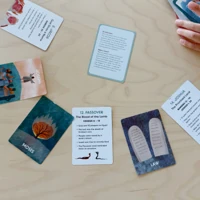 God's Story, Our Story Cards