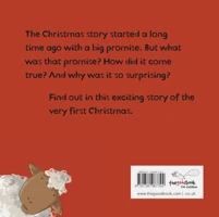 The Christmas Surprise