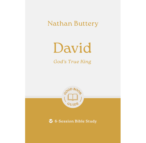 David: God's True King (ebook)