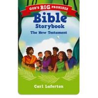 God's Big Promises Bible Storybook Yoto Card