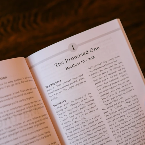Matthew: Kingdom Treasure
